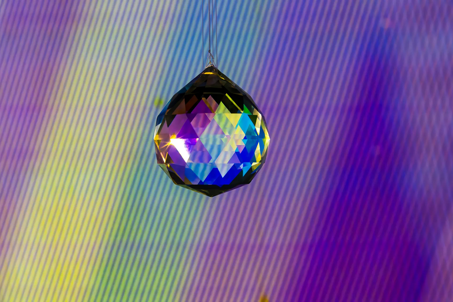 colōris ephemeris installation view 9